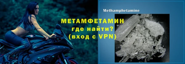 прущие грибы Зерноград