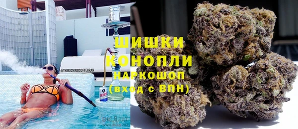2c-b Инта