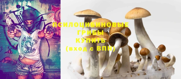 прущие грибы Зерноград