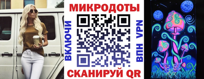 Галлюциногенные грибы Psilocybe  где купить наркотик  omg ТОР  Сокол 