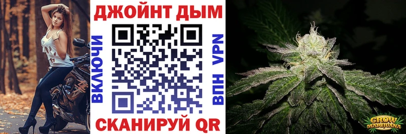 Бошки Шишки ГИДРОПОН Сокол